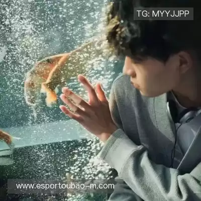 魏维戈